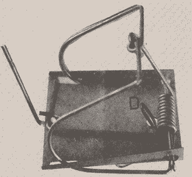 Fenn loop type mole trap