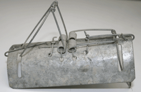 Duffus mole trap