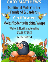 Gary Matthews - Professional Molecatcher in  in Northamptonshire